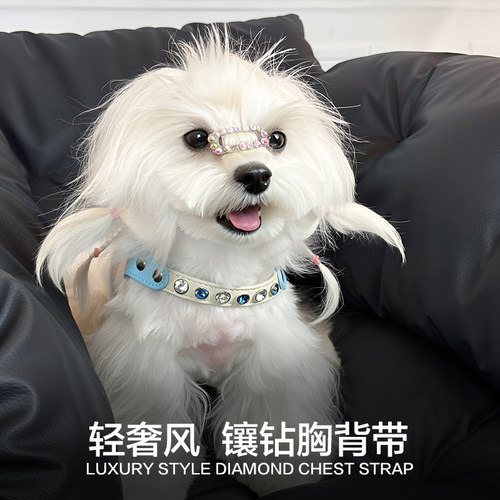 【人气推荐】轻奢镶钻宠物胸背带