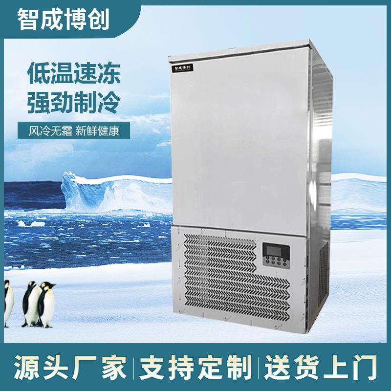 厨房冷冻柜商用急冻冰柜低温小型速冻柜海鲜包子铜管插盘风冷冰柜