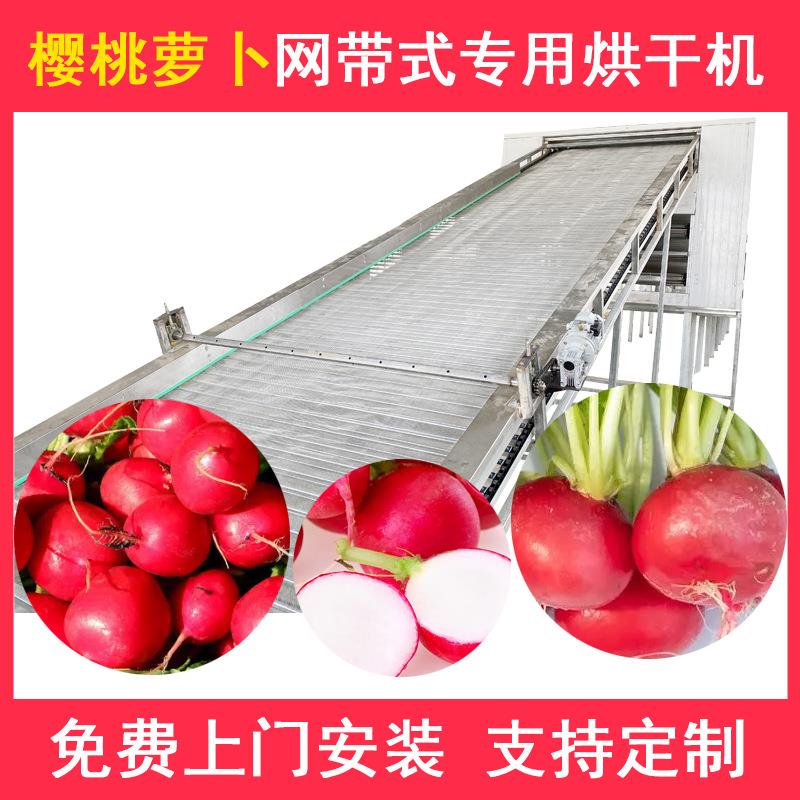樱桃萝卜烘干机全自动水果萝卜烘干房小萝卜脱水网带式烘干设备