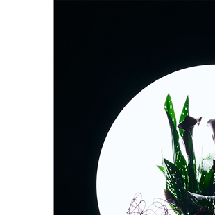 ASUCH 纯正蓝风铃白昼之夜无烟香薰蜡烛精油杯大豆蜡礼物情侣卧室