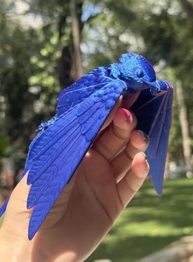 3d打印鸟玩具解压小燕子摆件三d模型关节可动造景装饰送朋友礼物