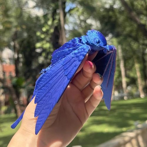 3d打印鸟玩具解压小燕子摆件三d模型关节可动造景装饰送朋友礼物