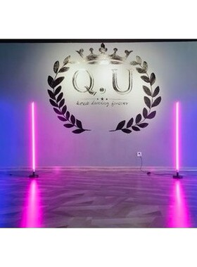 T8彩色LED灯管落地蓝红绿紫黄色充电拍摄手持移动舞蹈室长条灯管