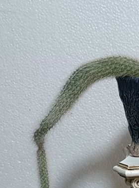 欧式罗马柱装饰摆件花园庭院道具柱子婚庆复古户外花盆阳台底座架