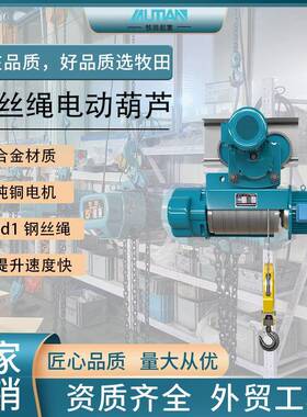 cd1钢丝绳电动葫芦起重电葫芦电动葫芦起吊机多规格起吊葫芦