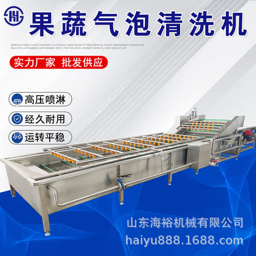 全自动果蔬气泡清洗机自动毛豆秋葵高压清洗机叶类菜喷淋清洗设备