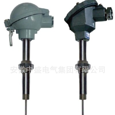 高温高压电站专用热电偶WRNR-01T热套型热电偶WRER-01T