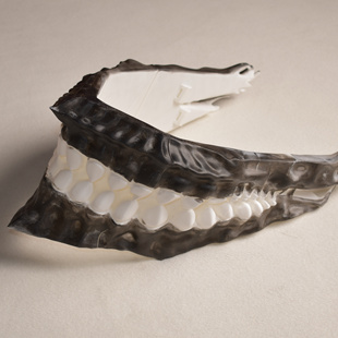 胆大党高仓健厄卡伦超然仔面具牙齿口罩cosplay当哒当变身道具