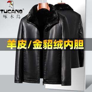 加絨加厚皮衣秋冬款 啄木鳥海寧頭層羊皮毛一體外套男士 金貂絨上衣
