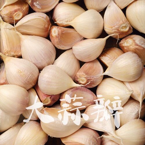 「大蒜瓣」26年新蒜山东苍山四六瓣大蒜干蒜白皮蒜粘辣脆香瓣大味