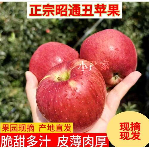 正宗@云南昭通苹果新鲜甜蜜丑苹果原产地现摘脆甜好吃营养多汁