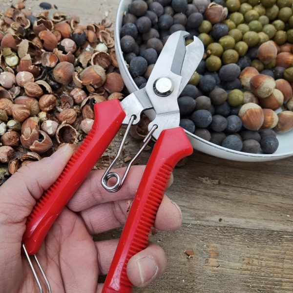 兰妹子榛子钳子剥莲子神器拨鸡头米剥壳器剥老莲子工具榛子开壳器