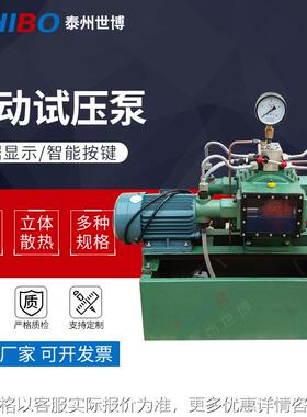 电动试压泵4DSY-165/6.3 高压小型便捷式管道测试水管打压机