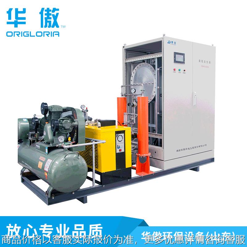 系列臭氧发生器 水处理设备纯净水杀菌 30空气源臭氧发生器