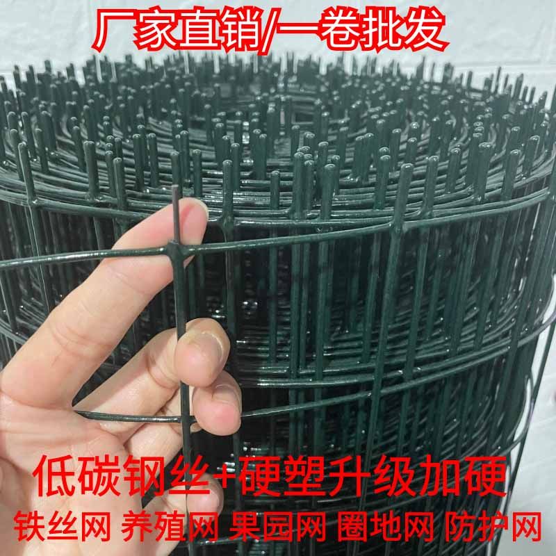 防锈网格铁网隔离栏养鸡拦鸡养殖网钢丝防护防盗网铁丝网围栏护栏