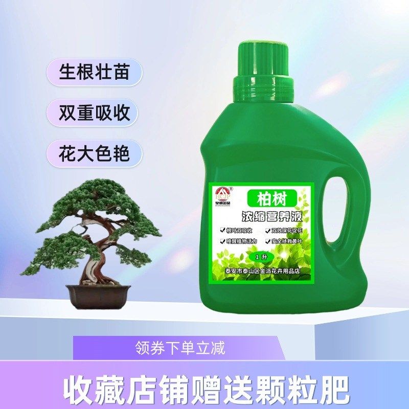 柏树树苗专用浓缩营养液盆景龙柏塔柏宝塔松老桩水溶性花木肥