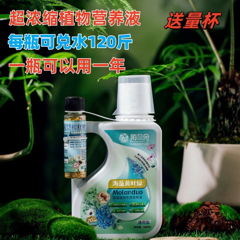 超浓缩植物营养液花肥通用化肥料绿植盆栽叶黄富贵竹通用型