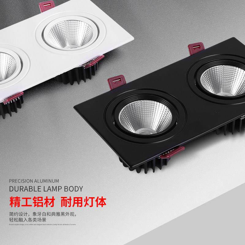 嵌入式双头射灯led黑色长方形斗胆灯天花客厅家用玄关过道格栅灯
