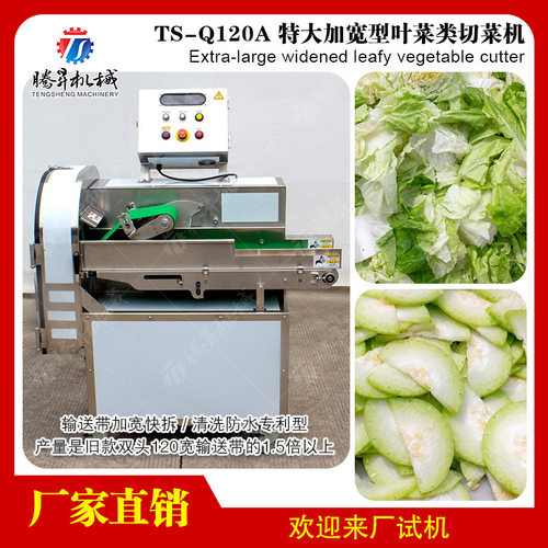 大型电动叶菜切菜机 台湾产加宽传送带切菜机 切条切片农产品