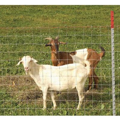 镀锌铁丝网围栏养殖护栏网牛栏网圈果园隔离栅栏养羊钢丝防护网格