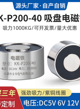 电磁铁P200/40 吸力1000KG 工业电磁铁 抖音荡秋千电磁吸盘电吸铁