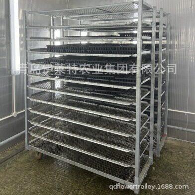 家直销运苗花车、1500*565催厂芽车、成品苗转车,花卉移车台,育
