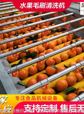 脐橙6000型体清洗风干一机清果打蜡机全自动洗分级水生产线柑橘洗