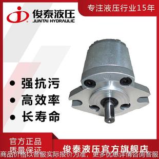 厂家现货 高效率 俊泰 高压齿轮泵 含法兰