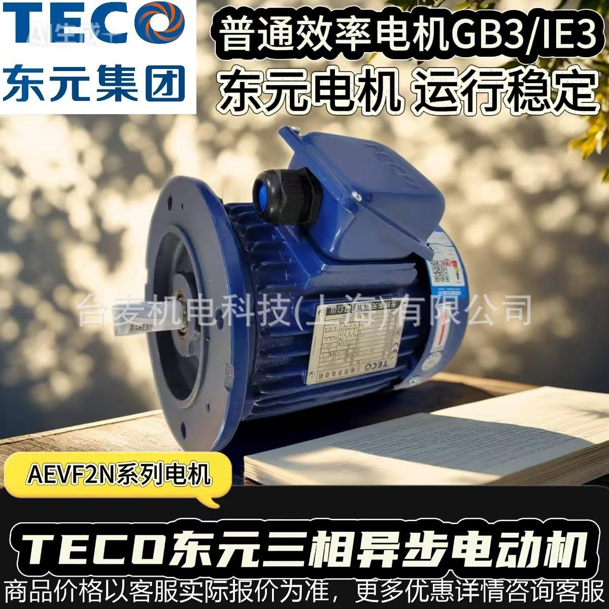 TEC0东元电机AEVF2N立式电机AEEF2N卧式电机GB3/IE3-3级能效电机