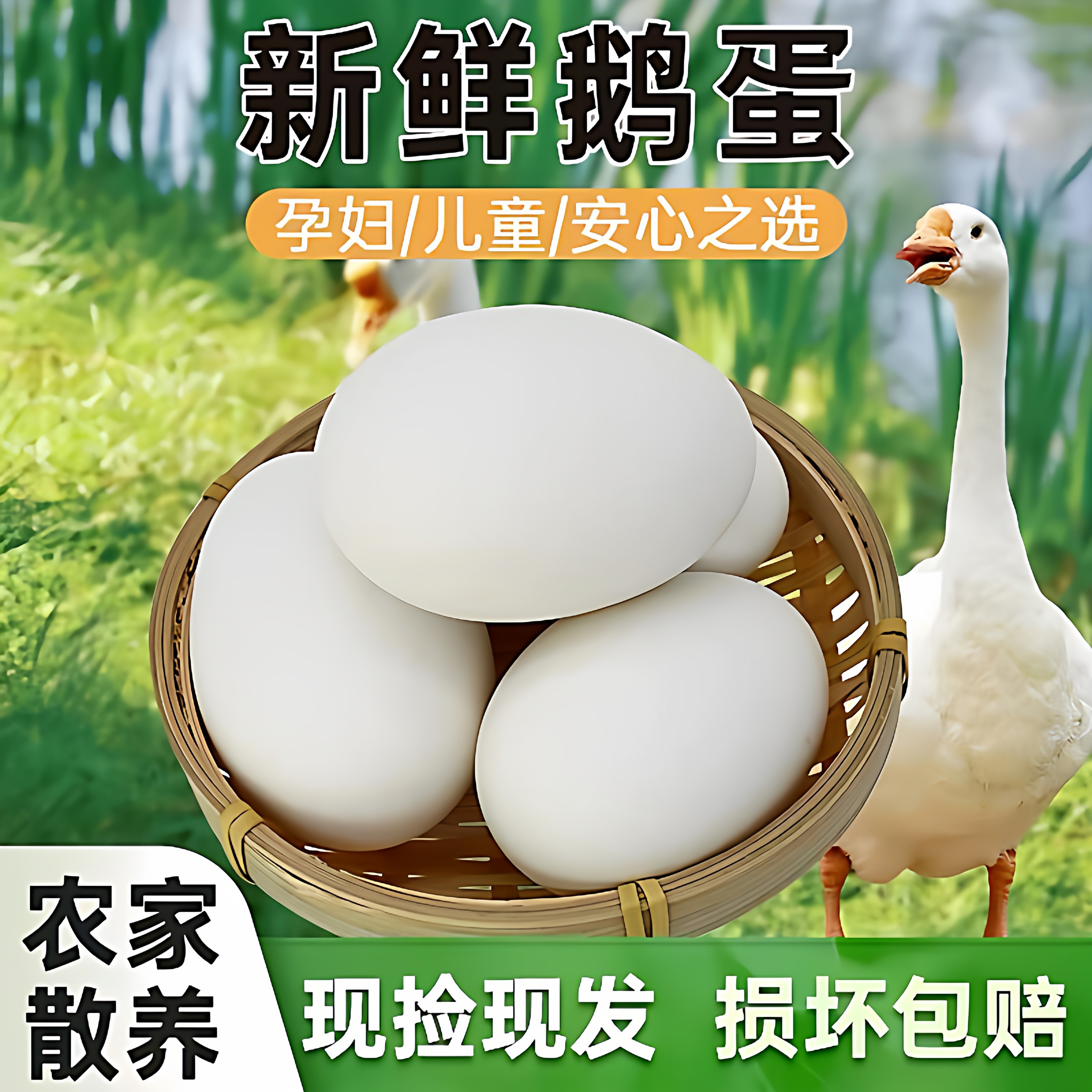 商超热卖王农家散养大鹅蛋新鲜