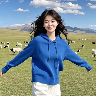 宽松显瘦超好看绝美上衣 新款 克莱因蓝连帽套头长袖 卫衣女2024冬季