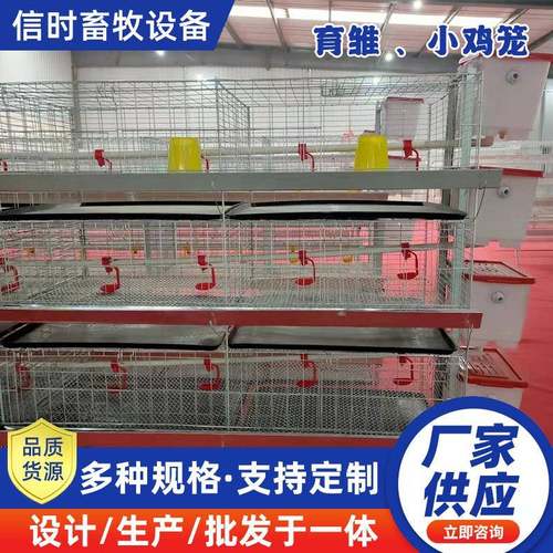 立式四层2门育雏加密养殖笼防夹防跑小鸡笼畜牧农用养殖雏鸡笼