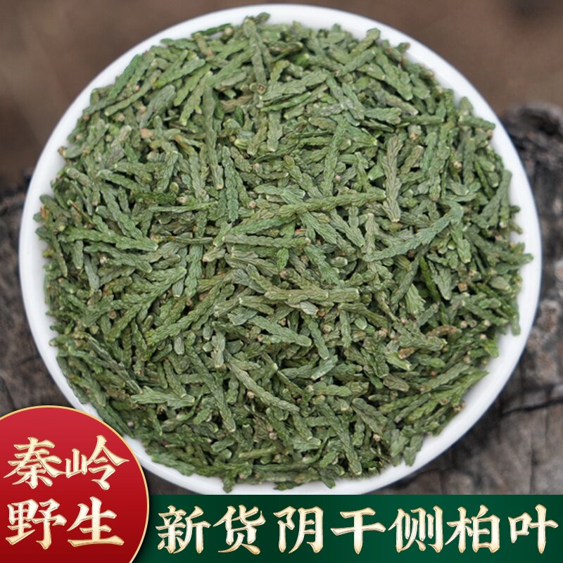 野生侧柏叶中药材500g