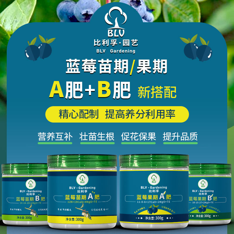 比利孚蓝莓专用AB肥果期苗期肥料改善黄叶掉叶促生长水溶肥