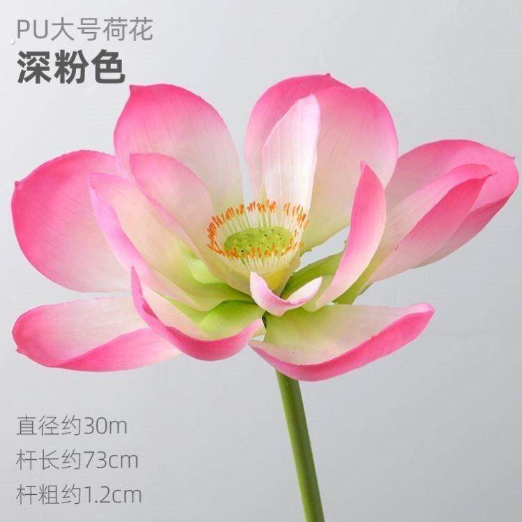 手持荷叶荷花古典舞蹈手拿花入莲间表演运动会手持物道具儿童采莲,运动/瑜伽/健身/球迷用品,更多舞蹈配饰,淘宝优惠券,粉丝福利购,淘宝优惠卷