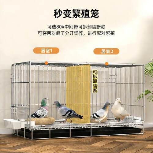 养鸽子专用笼白鸽养殖笼配对笼折叠铁笼子加粗加固家用大号特大号