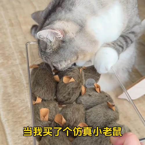 猫玩具自嗨解闷神器仿真毛绒小老鼠发声猫咪幼猫用品叫叫鼠逗猫棒
