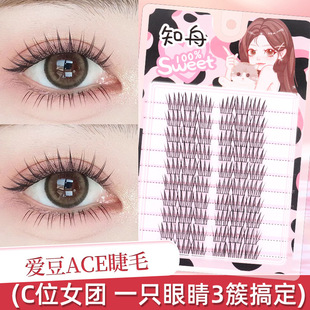 知舟大容量韩系女团ACE假睫毛自然上镜款单簇柔软细黑梗新手懒人