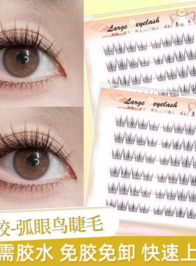 【3盒送金羽镊】知舟免胶假睫毛弧眼鸟自然柔软分段式初学者自粘