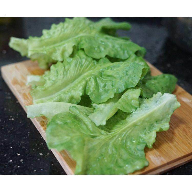 新款仿真PVC防水生菜叶模型蔬菜家居酒店装饰摄影道具生菜片模,鲜花速递/花卉仿真/绿植园艺,仿真果蔬,淘宝优惠券,粉丝福利购,淘宝优惠卷