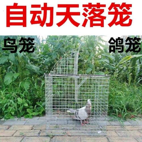 新款鸽笼自动天落鸟笼旋转笼翻板笼加粗鸽子养殖专用只进不出