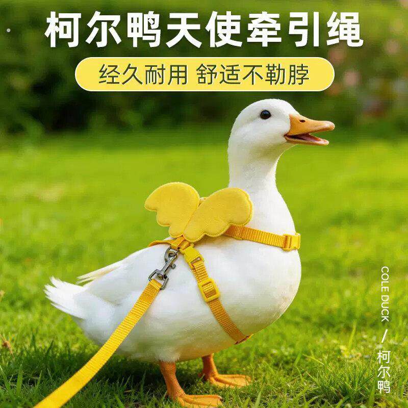 柯尔鸭牵引绳遛鸭子绳胸抱婴袋式牵引绳子遛猫绳宠物用品天使牵引