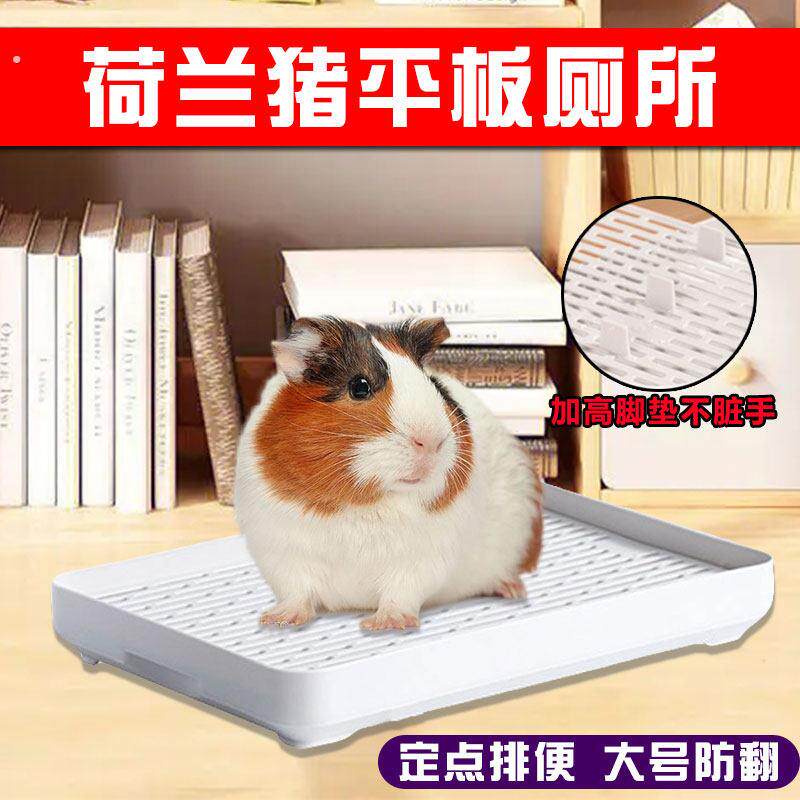 荷兰猪小宠物厕所天竺鼠平板尿盆兔兔尿盘大龙猫豚鼠专用便盆用品