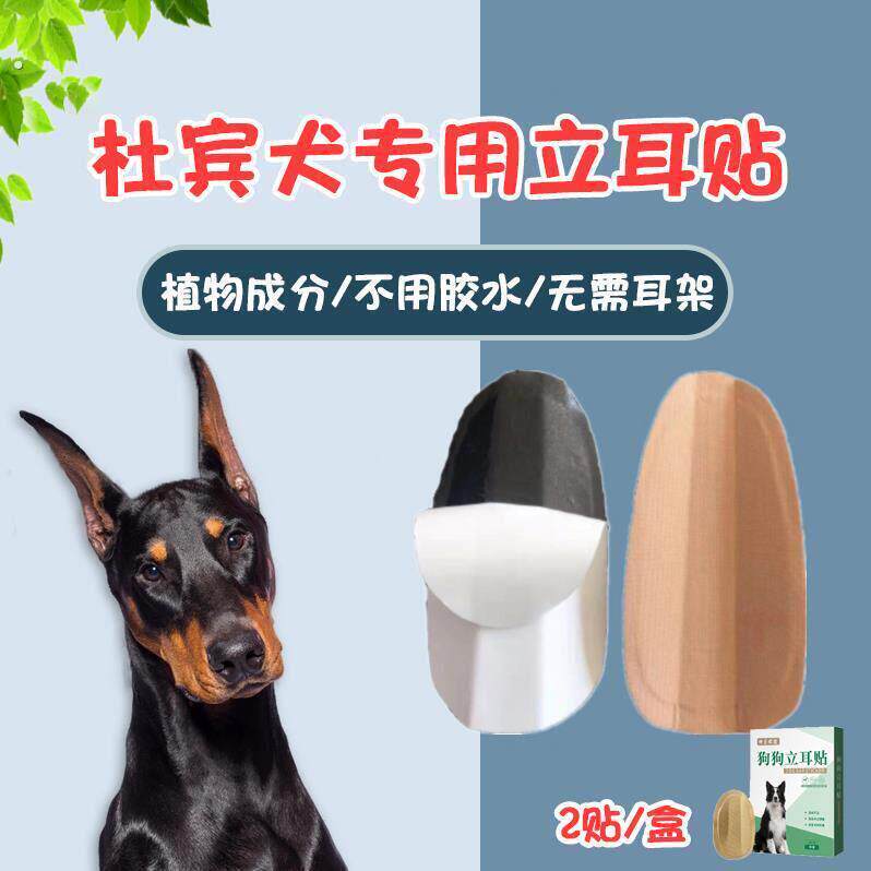 杜宾立耳器幼犬中型犬狗狗立耳朵神器德牧耳朵固定器卡斯罗立耳珠