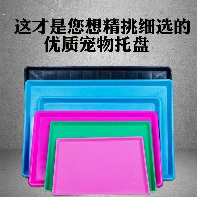 高颜值托盘大尺寸托盘长方形狗笼子底部托盘鸡粪托盘塑料花盆托盘