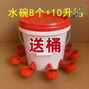 喂鸡食槽水槽一体喂鸡懒人神器出远门农村自动喂鸡家禽养殖小鸡鸭