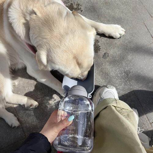 狗狗外出水杯可携式宠物户外饮水吨吨桶狗水壶二合一喝水随行杯子