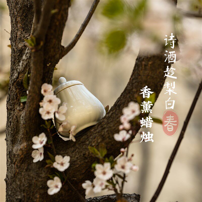 香薰蜡烛[诗酒趁梨白]梨花果香清酒天然植物蜡烛品