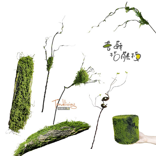 仿真单支枯藤蔓苔藓鸟巢窝枝条森林系植物墙柱缠绕装饰道具摆设