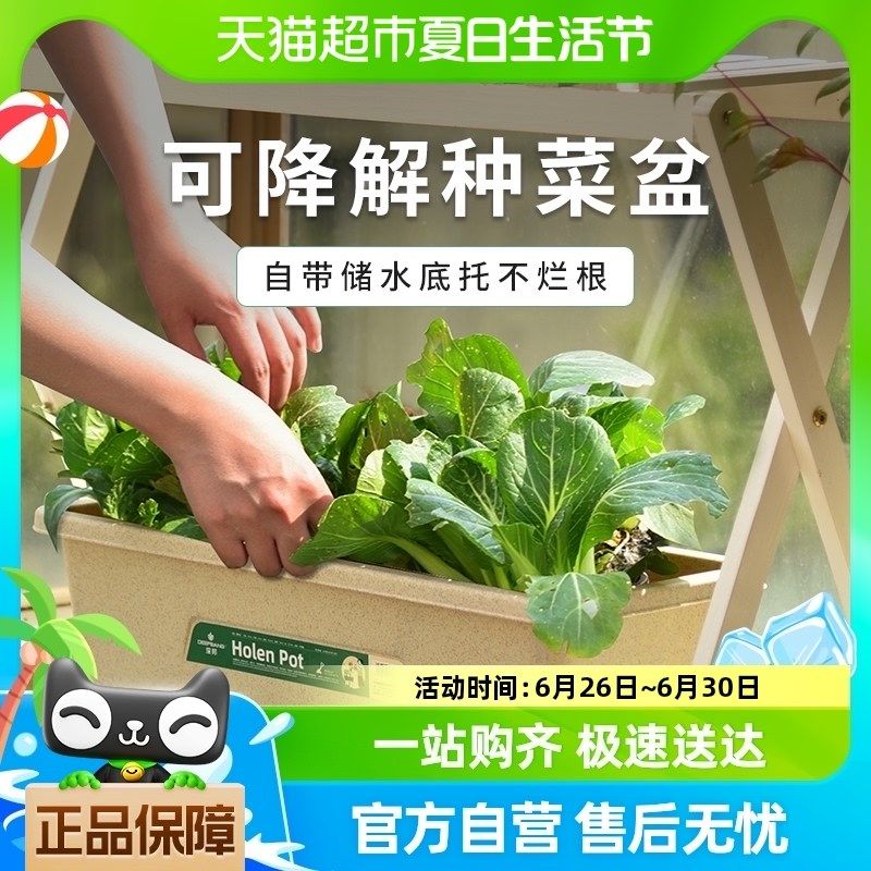 可降解阳台懒人种菜盆家用自吸水窗台加深特大号花盆种植箱,鲜花速递/花卉仿真/绿植园艺,花盆,淘宝优惠券,粉丝福利购,淘宝优惠卷